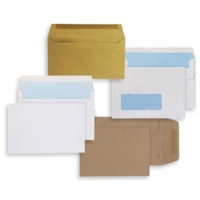 Dinner Money 70gsm 98mm x 67mm Envelopes Box of 100