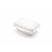 Bagasse Pulp 7" x 5" Food Container Box Pack of 50