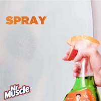 Mr Muscle Window and Glass Spray Cleaner 500ml