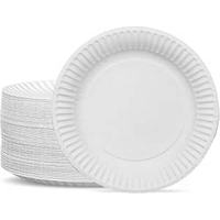 White 7" Paper Plates Pack of 100