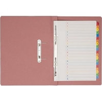Eastlight Transfer Spring Files Pink Box of 25