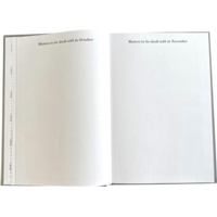 A4 Page Per Day Diary Blue, 2027