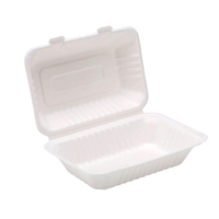 Bagasse Pulp 7" x 5" Food Container Box Pack of 50