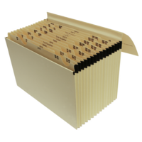 16 Pocket Manilla Buff Expanding File