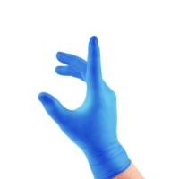 Vinyl Glove Blue Powder Free Large Box of 100
